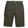 Trespass Fenham Shorts, Dark vine