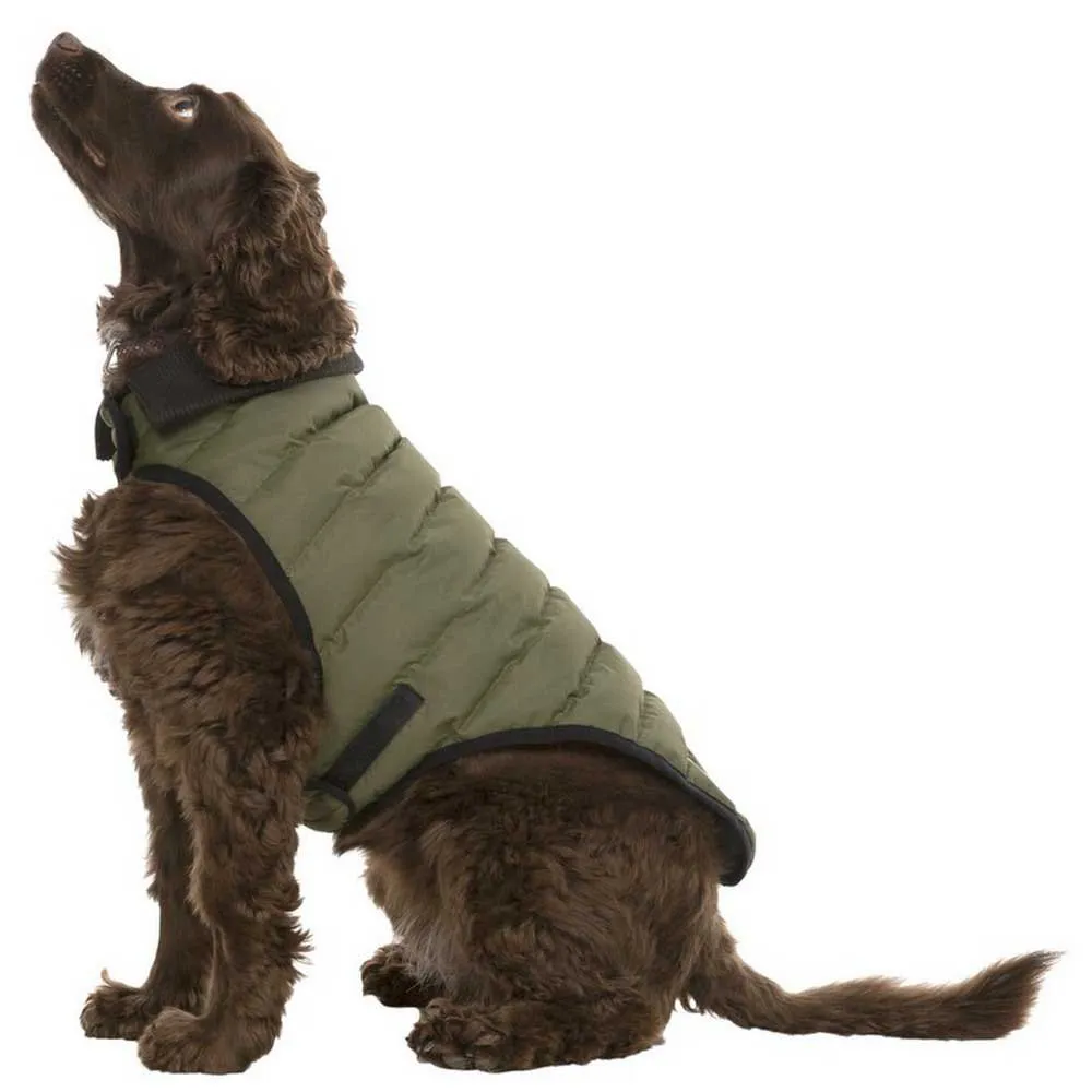 Trespass Lloyd Hundegenser Trespass Lloyd Hundegenser