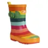 Rainbow stripe
