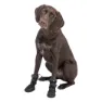 Trixie Activ Large Hundesko