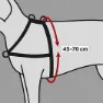 Trixie Lead N Walk Soft Hundesele