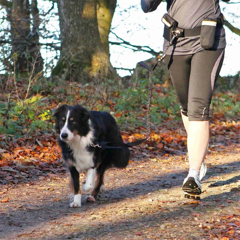 Trixie Midjebelte Med Bånd 60-120 Cm, Black, One Size
