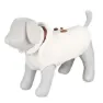Trixie Siena Hundegenser, Beige, L