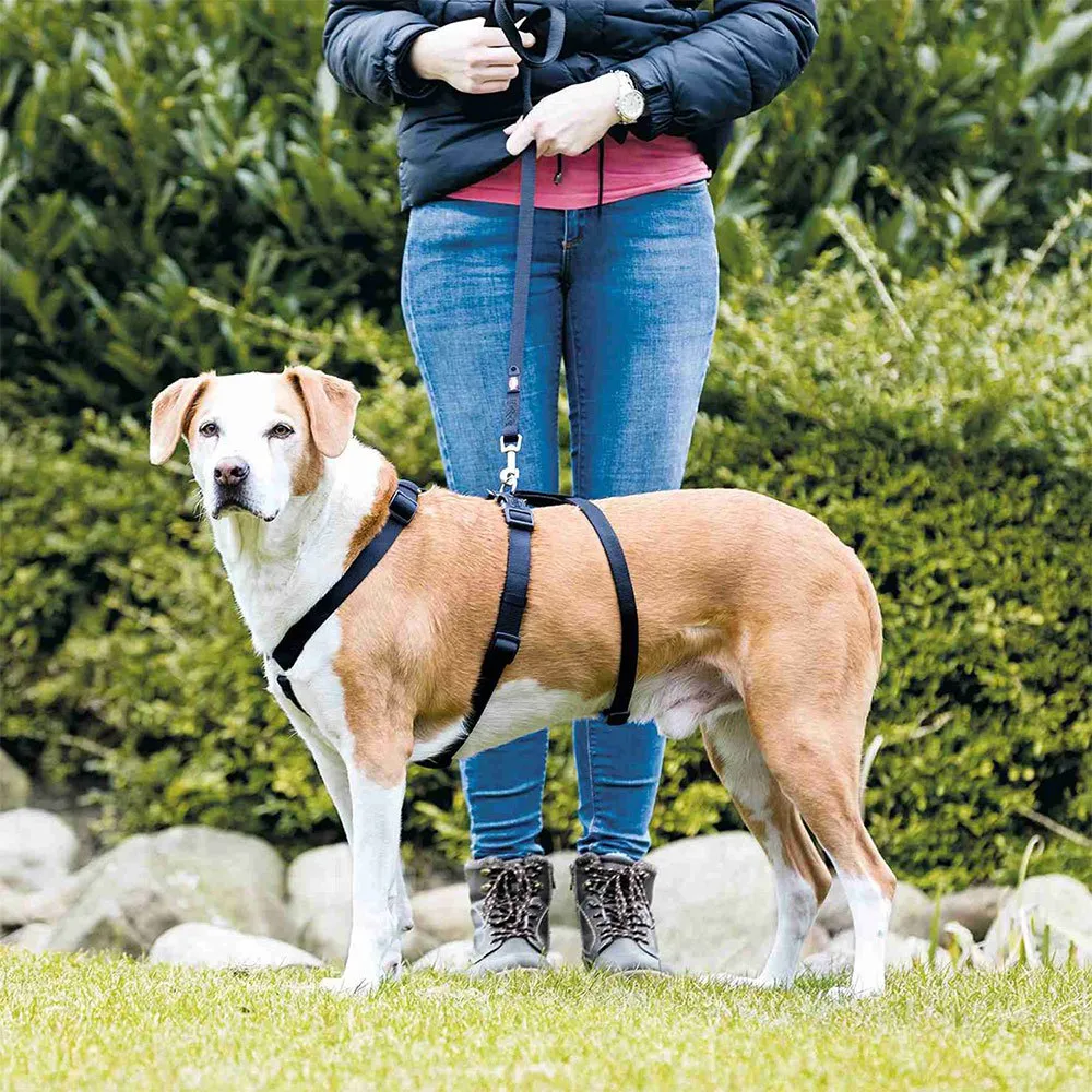 Trixie Stay Hundesele Trixie Stay Hundesele