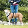 Trixie Stay Hundesele