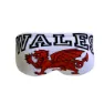 Turbo Wales Dragon Badetrusser male