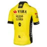 Tvl Team Visma Lease A Bike Replica 2025 Kort Ermet Trøye