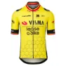 Tvl Team Visma Lease A Bike Replica Former Belgium Champion 2025 Kort Ermet Trøye