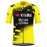 Tvl Team Visma Lease A Bike Replica Wingbeat Kort Ermet Trøye