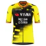 Tvl Team Visma Lease A Bike Replica Wingbeat Wout Van Aert Kort Ermet Trøye