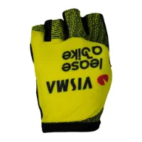 Tvl Team Visma Lease A Bike Tdf25 Replica Hansker