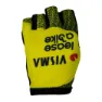 Tvl Team Visma Lease A Bike Tdf25 Replica Hansker