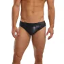 TYR Ison Badetrusser male