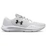 White / halo gray / black