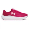 Shaded fuchsia / crimson crest / white