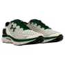 Under Armour Speedform Gemini Løpesko male