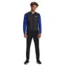 Under Armour Storm Insulted Run Vest male