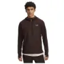 Brown / reflective