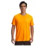 Orange / reflective