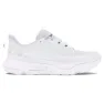 White / distant gray / halo gray
