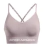 Tetra gray