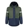 Kombu green