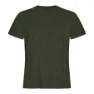 Kombu green