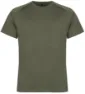 Deep lichen green