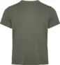 Deep lichen green