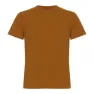 Pumpkin spice