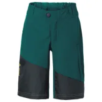 Vaude Moab Stretch Shorts