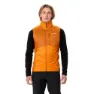 Vaude Sesvenna Iv Vest