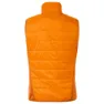 Vaude Sesvenna Iv Vest