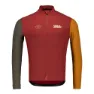 Burgundy dual sleeves