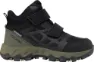 Olive 7