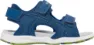 Blue/moss green