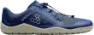 Insignia blue