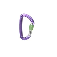 Wild Country Session screw gate Wild Country Session screw gate