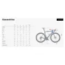 Wilier Filante Sl Campy Super Record Eps 2025 Landeveissykkel