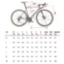 Wilier Filante Slr Dura Ace Di2 Kleos Rd 50 Landeveissykkel