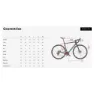 Wilier Garda 105 Landeveissykkel, Black / red