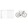 Wilier Jareen Grx Rd-rx400 2025 Grussykkel, Gravel sykkel