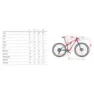 Wilier Urta Slr 29´´ Xt Rd-m8100 Sgs 2025 Terrengsykkel