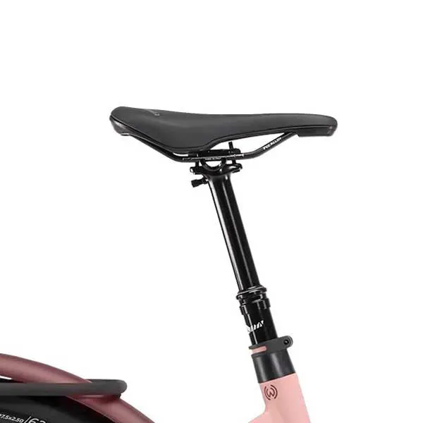 Winora Iride Pure Rf Mid 2024 Elektrisk Sykkel, Elsykkel