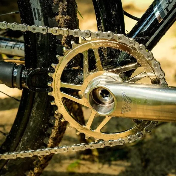 Wolf Tooth Cane Creek/SRAM HyperGlide+ Boost 12-delt drev