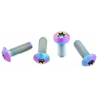 Wolf Tooth Titanium Low Profile Flaskeholder Skruer 4 Enheter