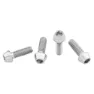 Wolf Tooth Titanium Standard Head Raw Flaskeholder Skruer, Silver, One Size