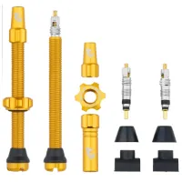 Wolf Tooth Tubeless Clik Valve Stem Kit