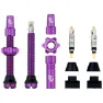 Wolf Tooth Tubeless Clik Valve Stem Kit, Lilla, Sykkeldekk