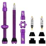 Wolf Tooth Tubeless Clik Valve Stem Kit, Lilla, Sykkeldekk